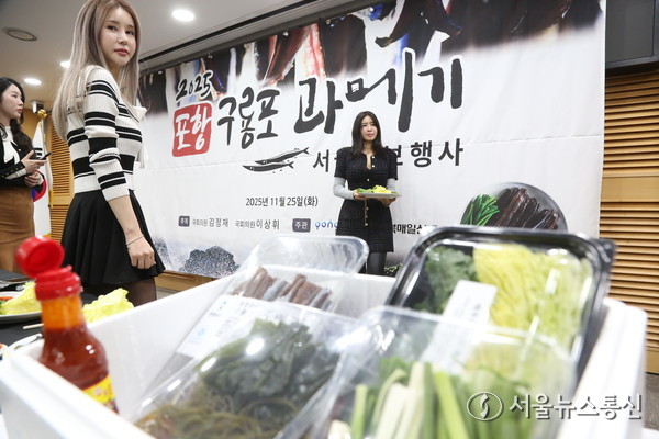 포항구룡포과메기 홍보행사에서 제공된 과메기 세트 모습. 과메기를 비롯해 골뱅이, 미역, 배추, 쪽파, 마늘, 고추, 초장 등 다양한 재료가 한 박스에 구성돼 있다. (사진 신현성 기자) 2025.11.25, snakorea.rc@gmail.com , *재판매 및 DB 금지